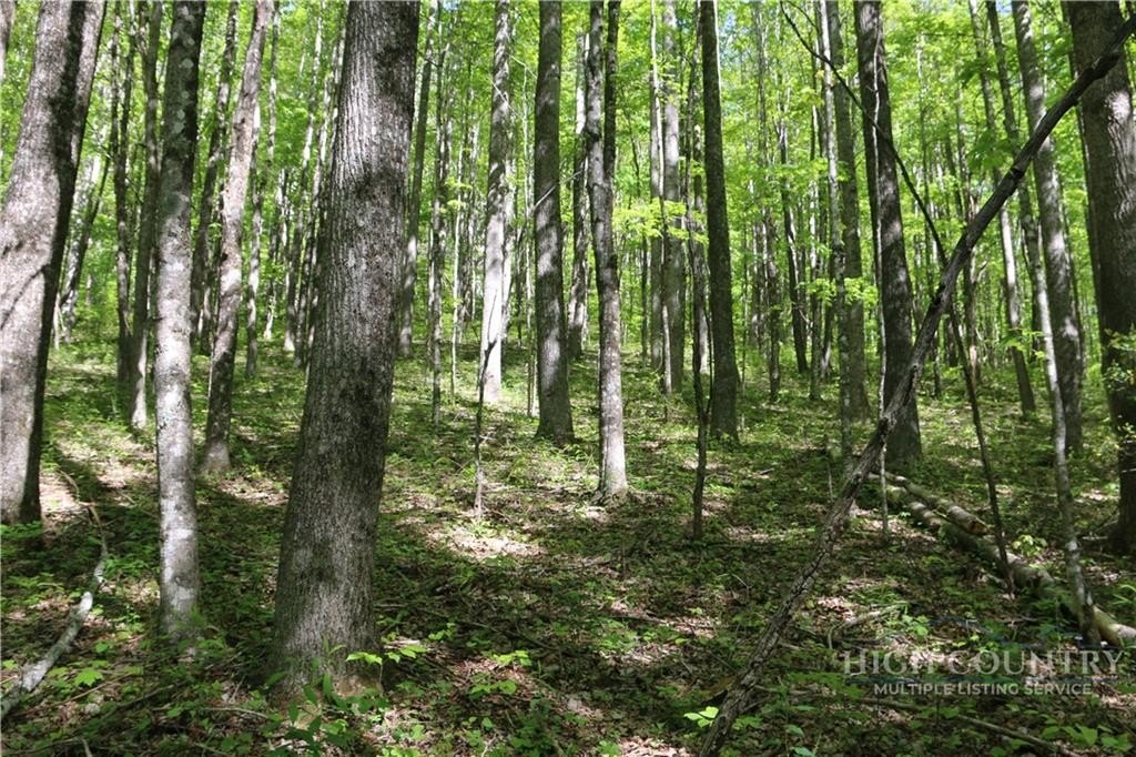 Picture 26