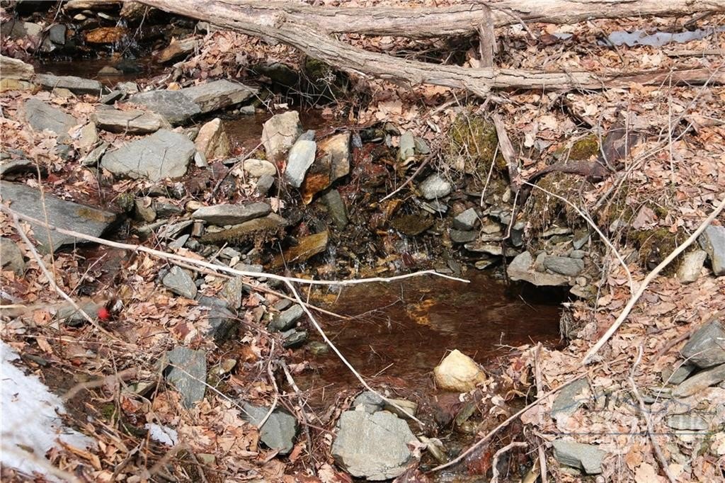 Picture 31