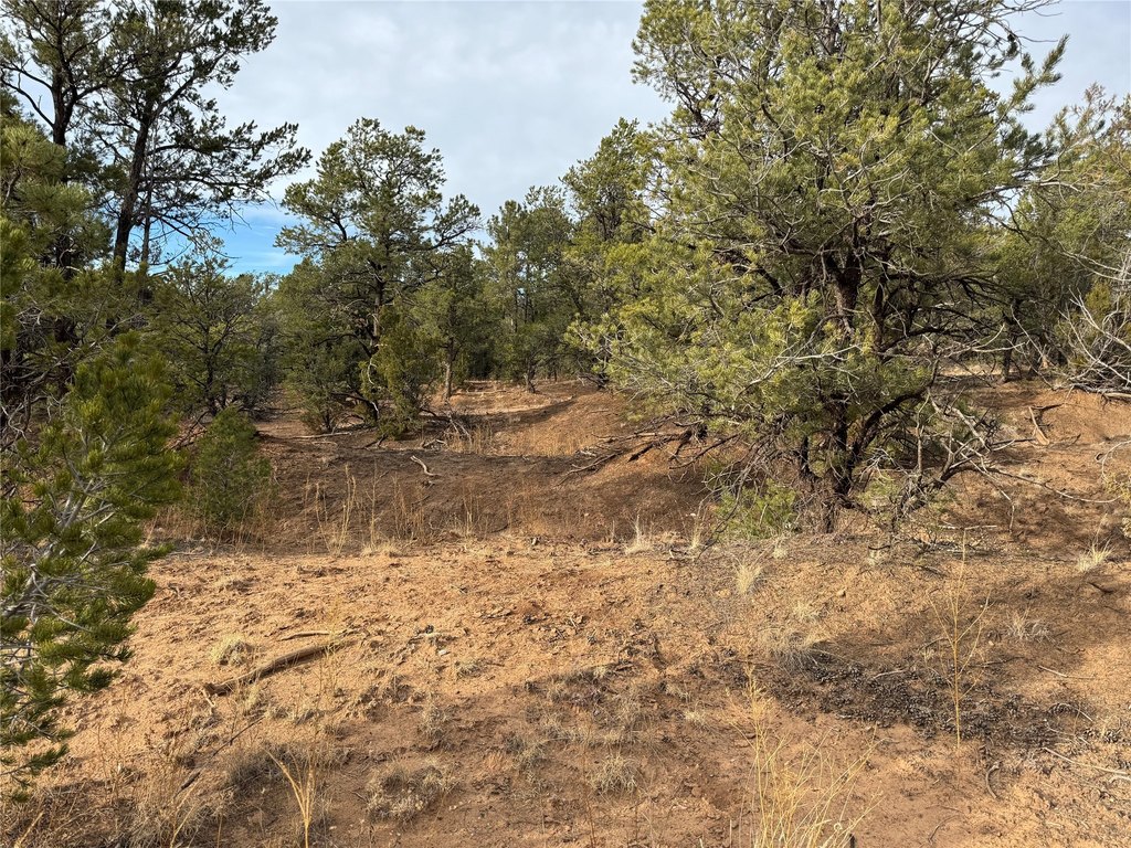Picture 25