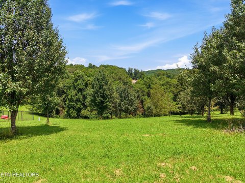 Lots & Acreage, Kodak, TN