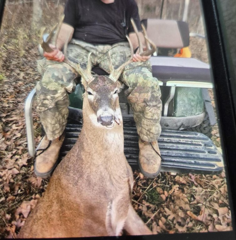 Picture 4