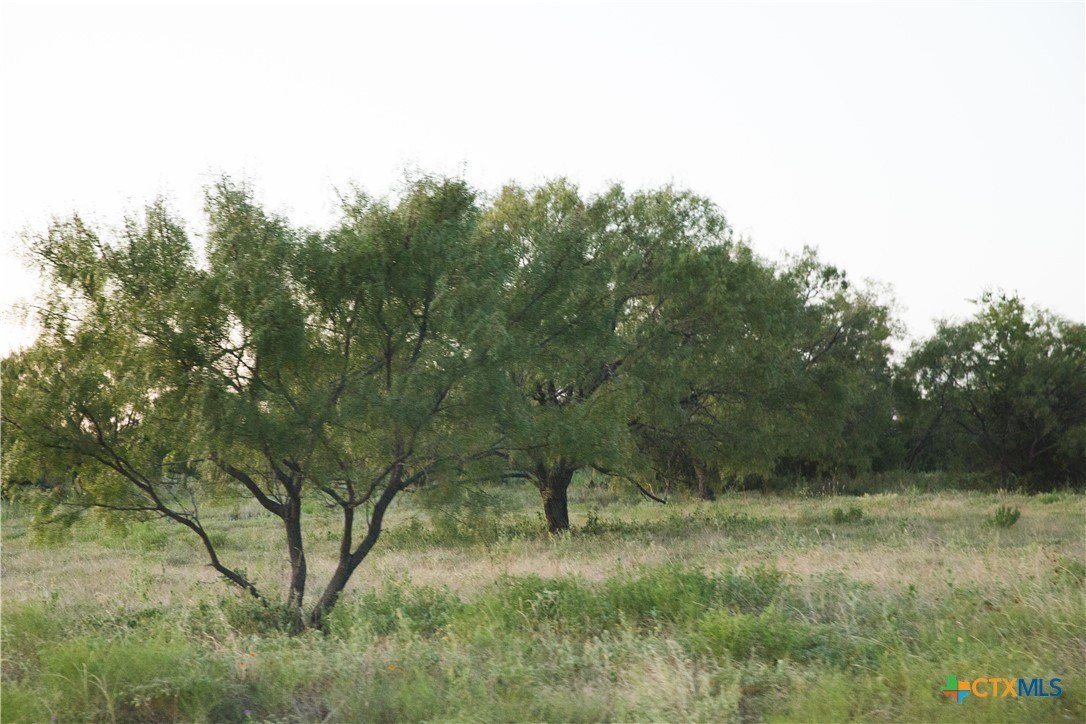 5-Acre Tract in High Creek Ranch