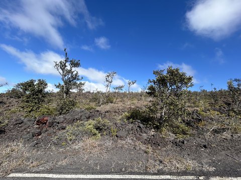 Vacant Acre in Ocean View