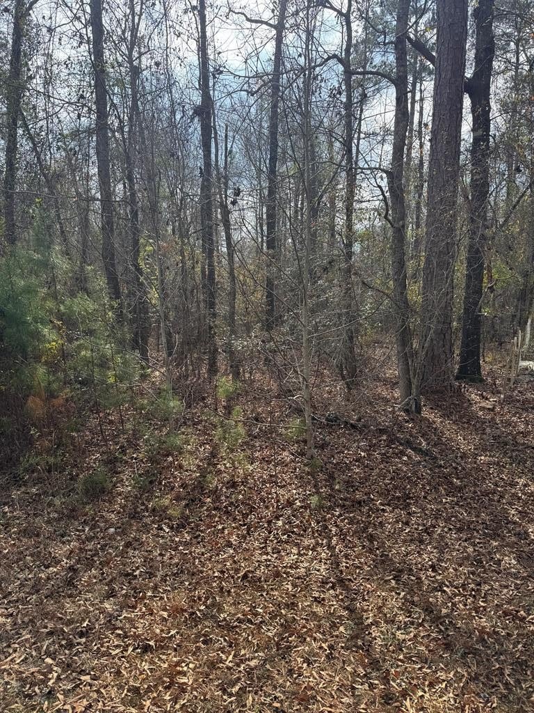 Wooded Lot Near Lake