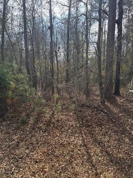 Wooded Lot Near Lake