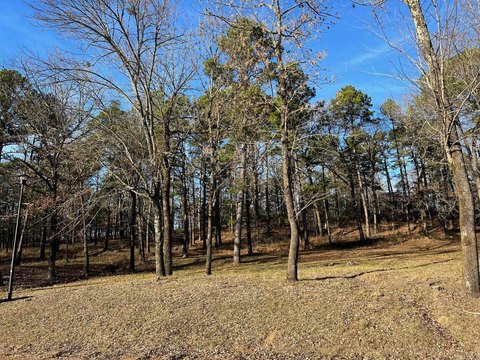 LAND - Heber Springs, AR