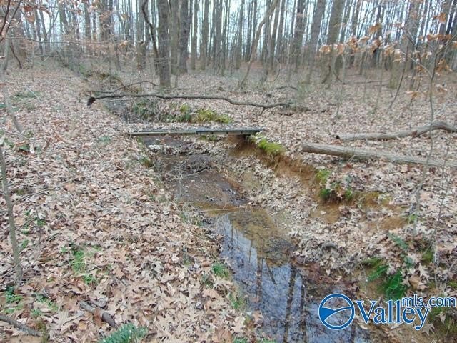 Hazel Green Land with Creek