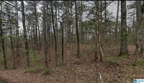 Agricultural Zoned Land Parcel