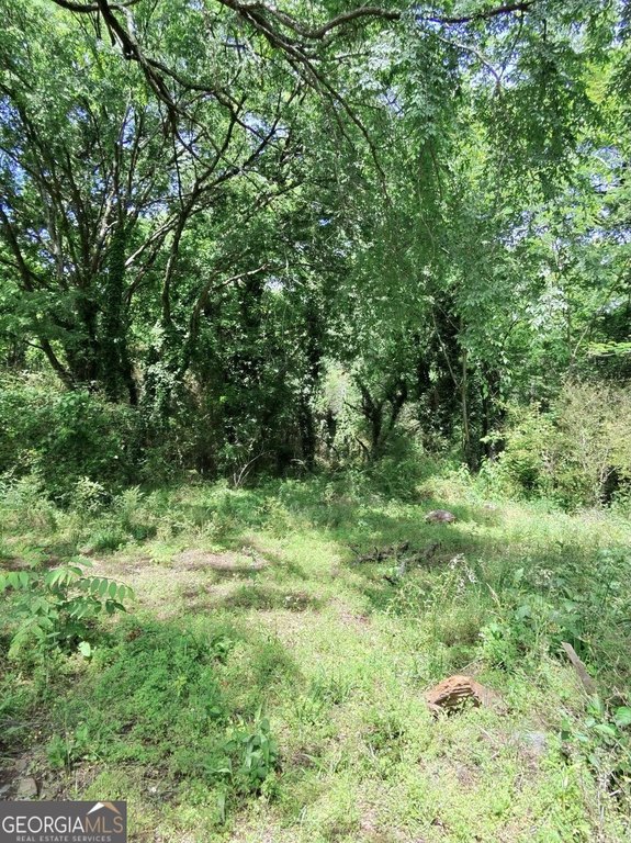 Picture 10
