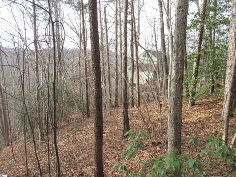 Land in The Rock at Jocassee