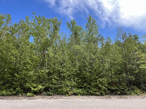 Private Wooded Double Lot