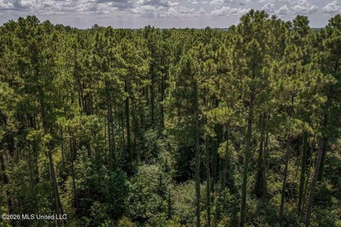 Land, Summit, MS