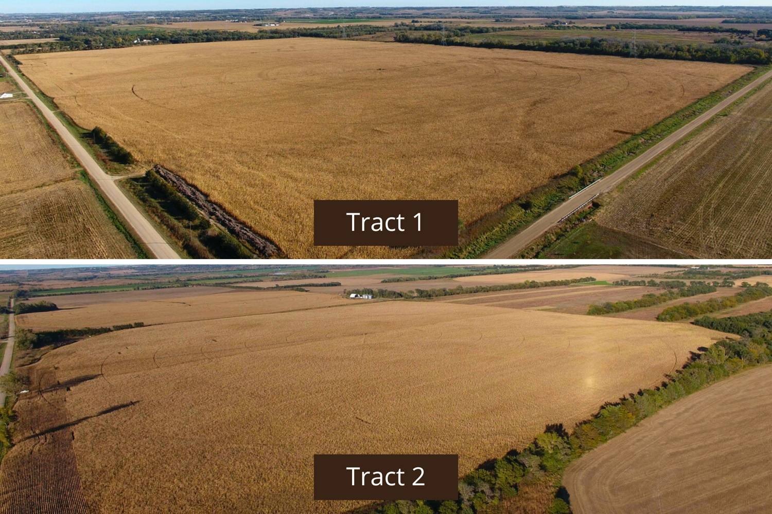 Irrigated Farmland Opportunity Near Norfolk