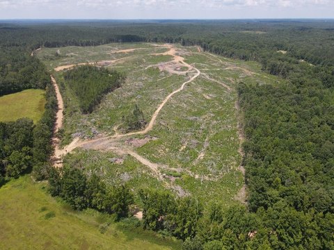 LAND - PARIS, MS