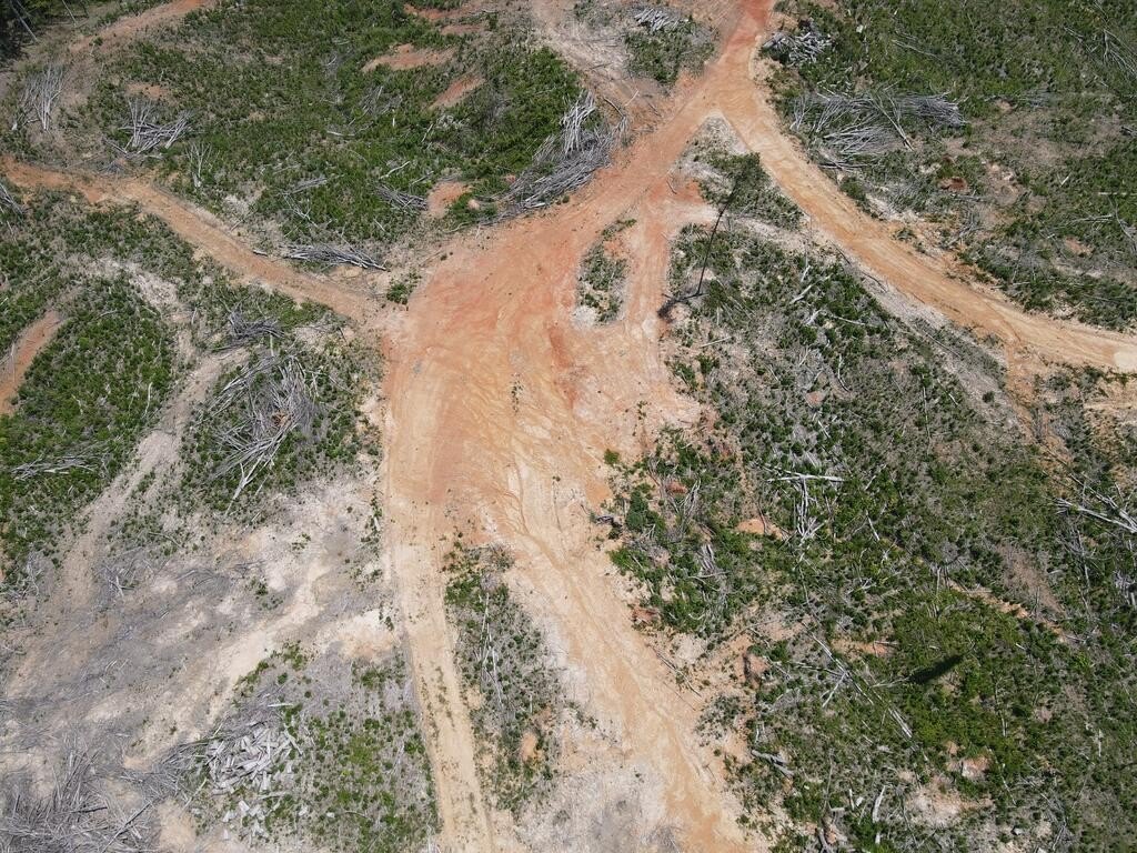 Picture 30
