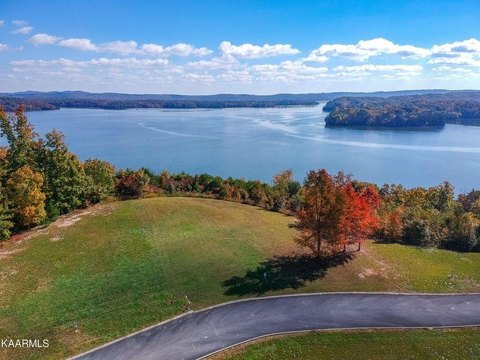 LAND - Spring City, TN