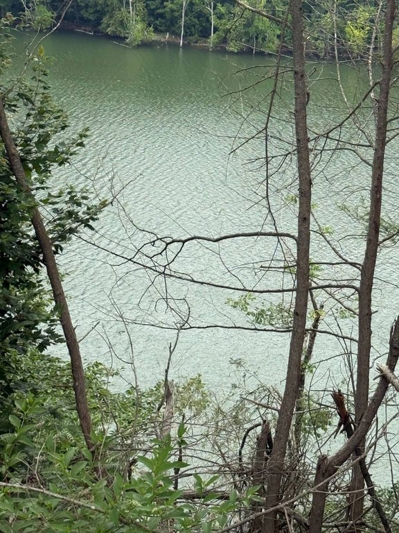 Picture 3
