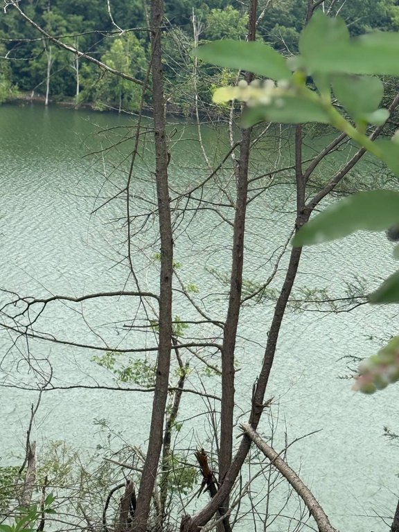 Picture 6