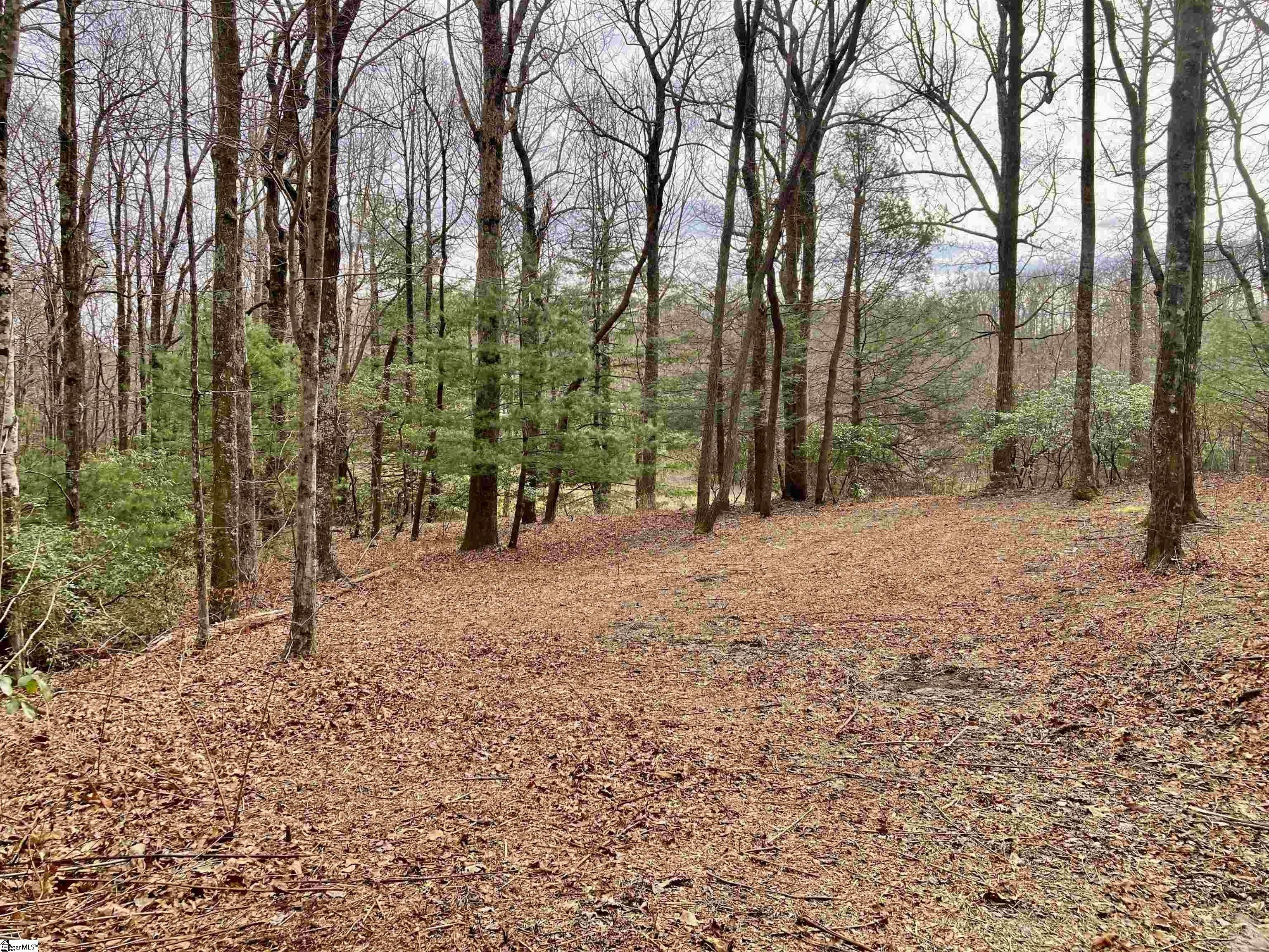 Landrum Golf Course View Homesite