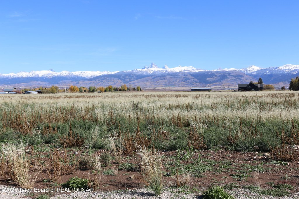 Picture 21