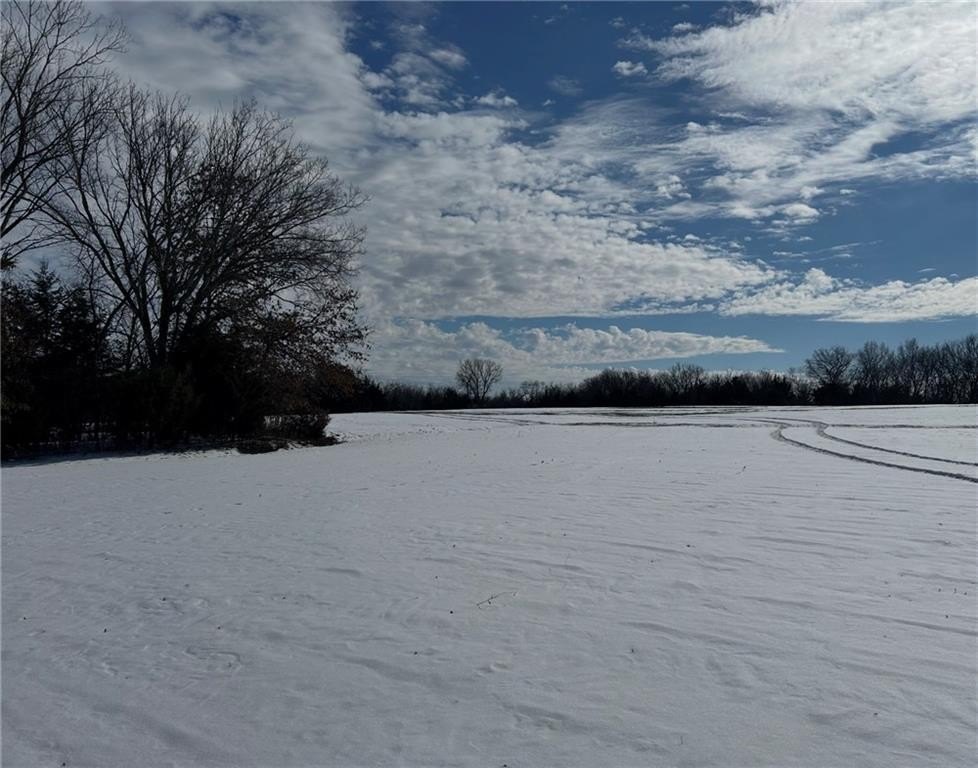 Picture 19