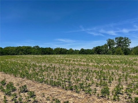 LAND - Lone Jack, MO
