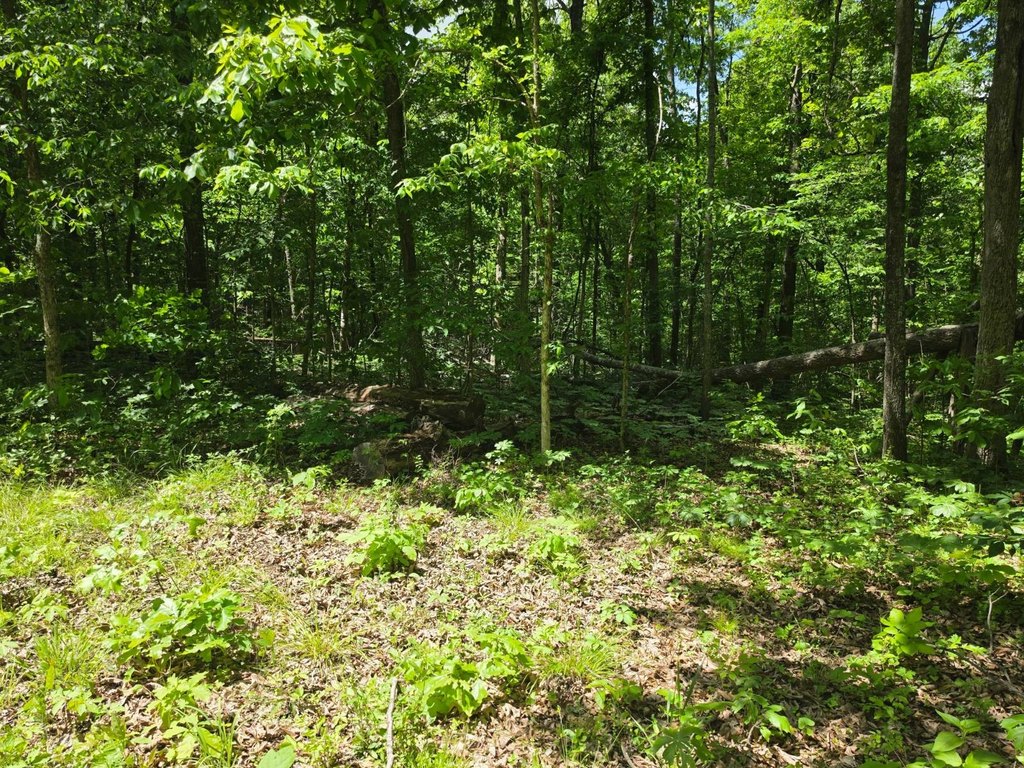 Picture 30
