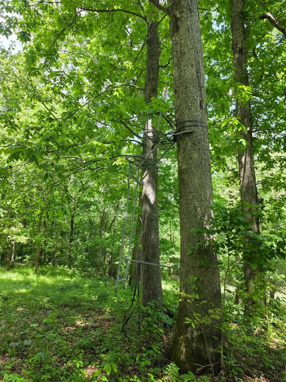 Picture 29
