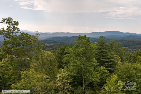 LAND - Hendersonville, NC