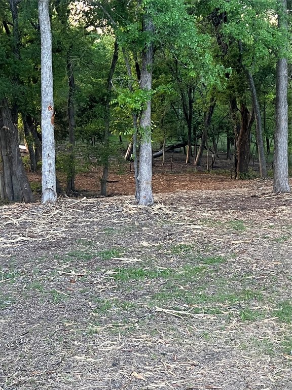 Picture 3