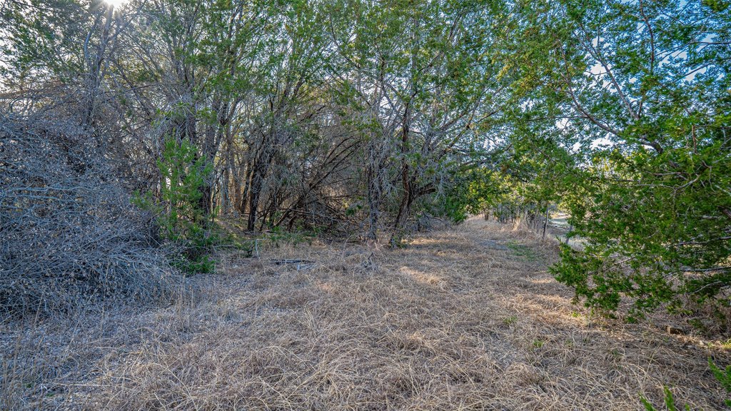 Picture 20