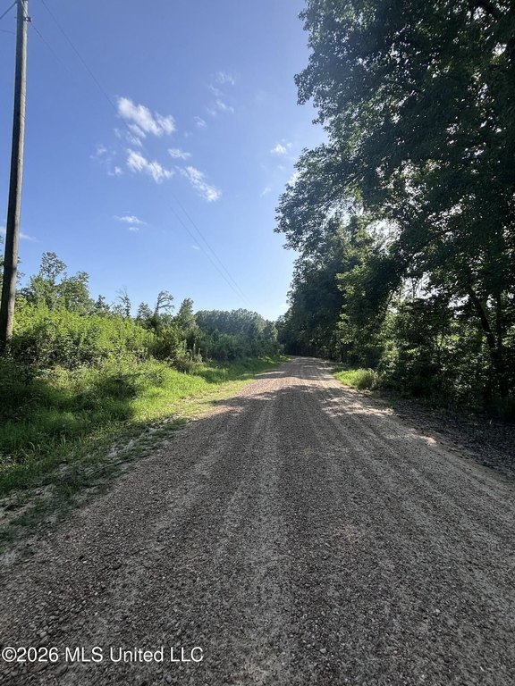 Picture 20