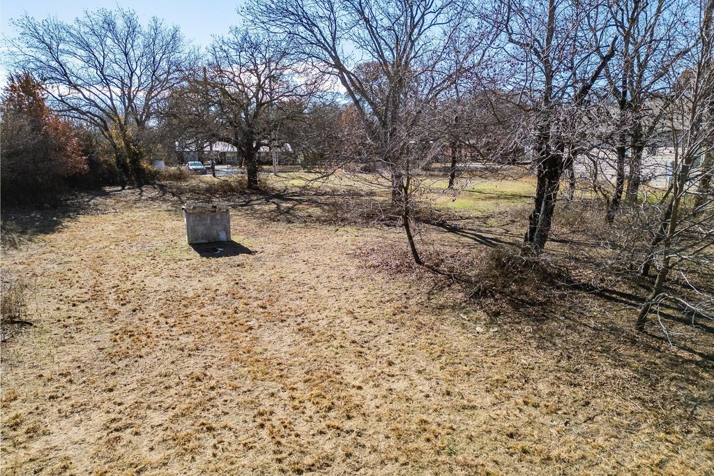 Picture 8