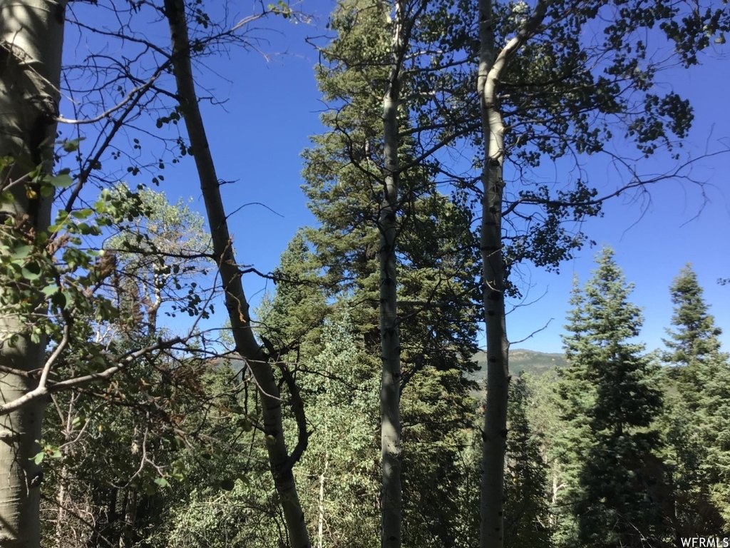 Picture 25