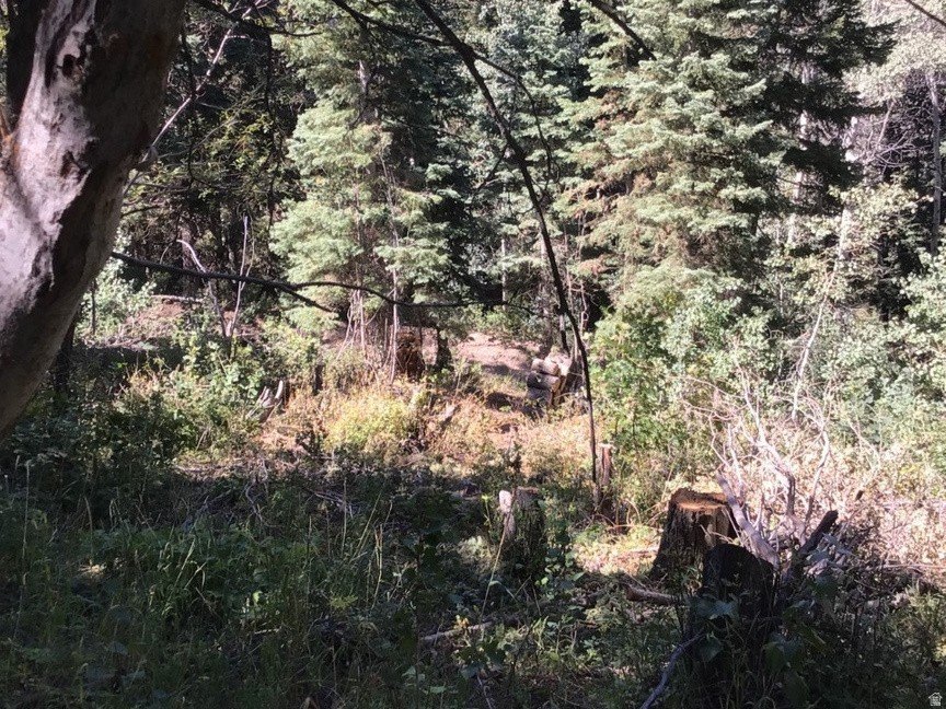 Picture 15