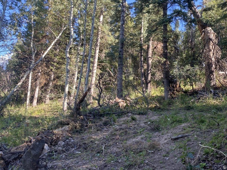 Picture 17