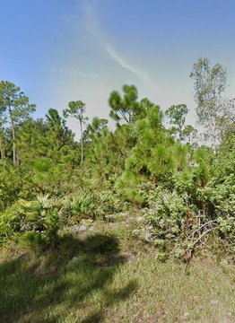 Punta Gorda Vacant Lot