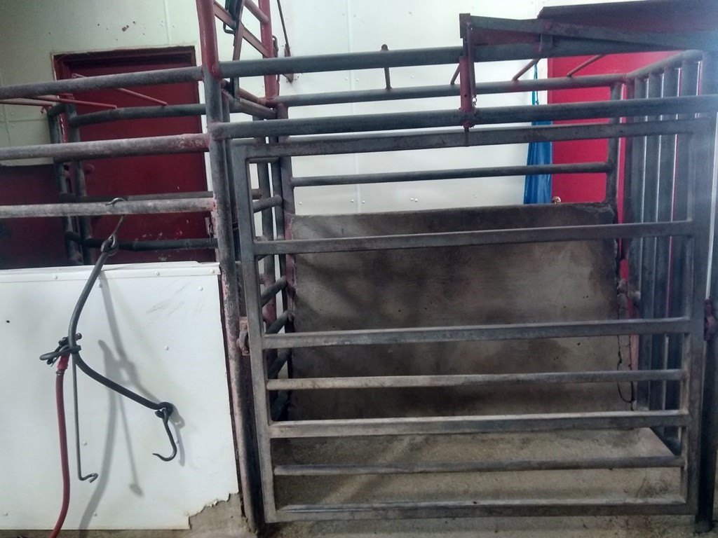 Picture 6