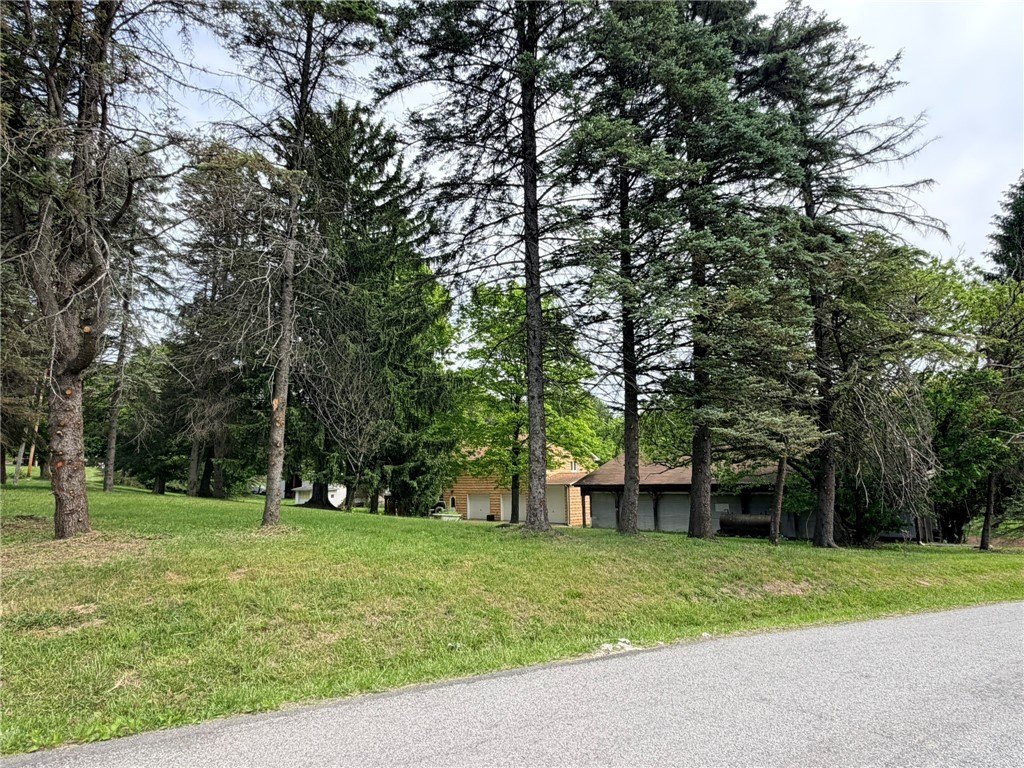 Picture 14
