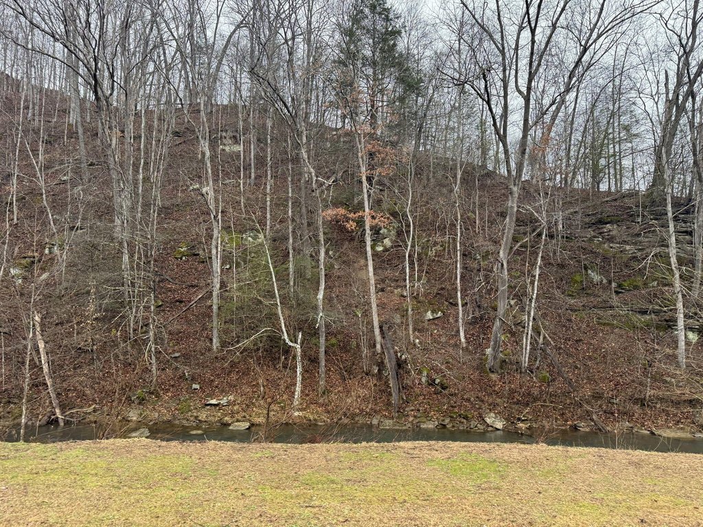 Picture 16