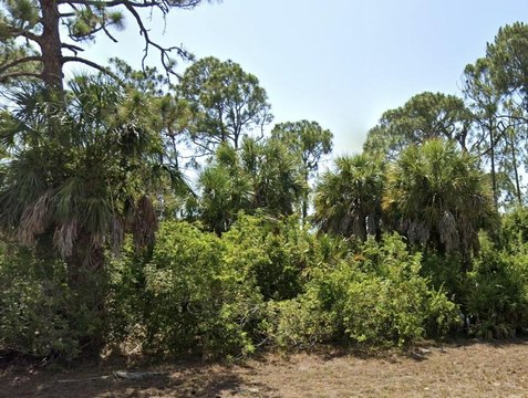 Vacant Lot in Rotonda West