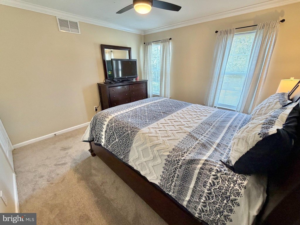 Picture 28