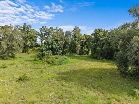 LAND - Mayo, FL