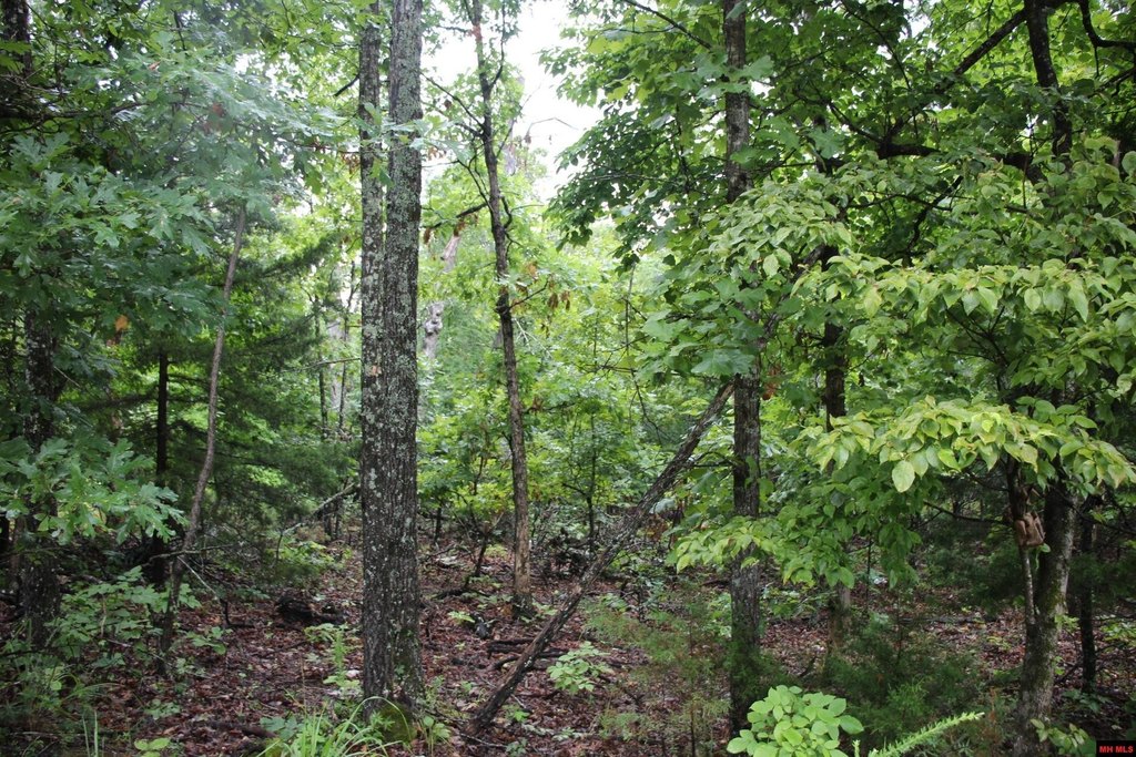 Picture 19