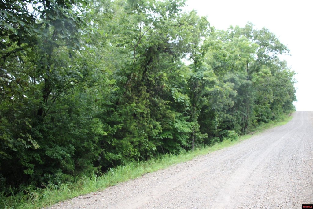 Picture 8