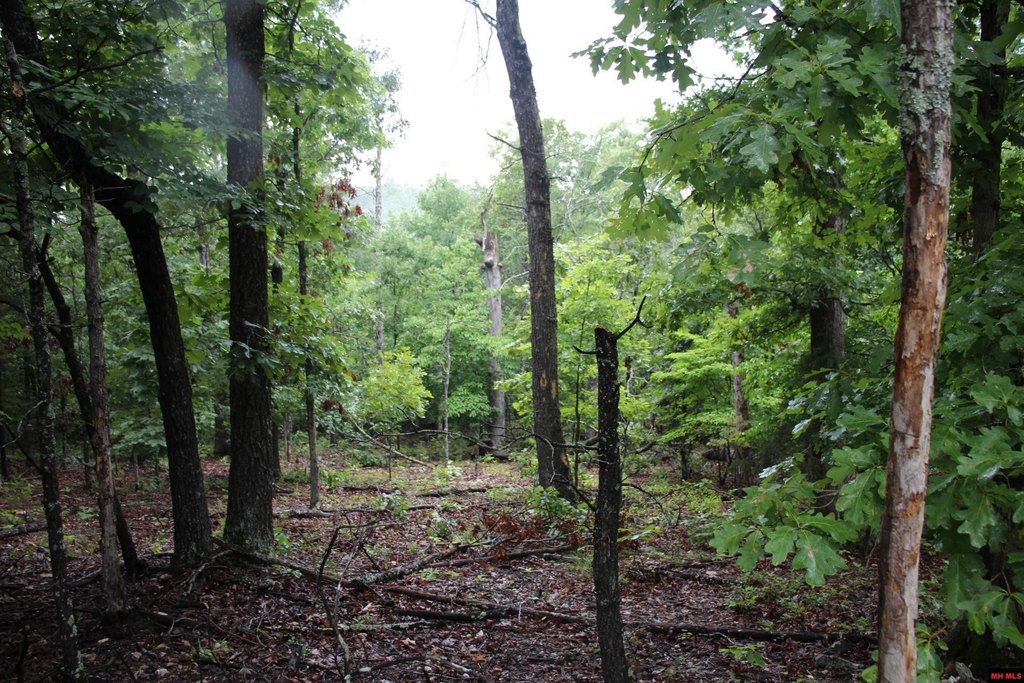 Picture 18