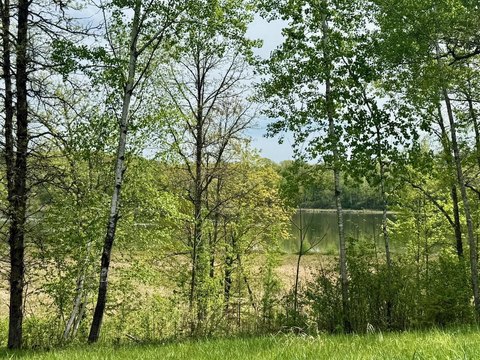 Waterfront Hunting Land