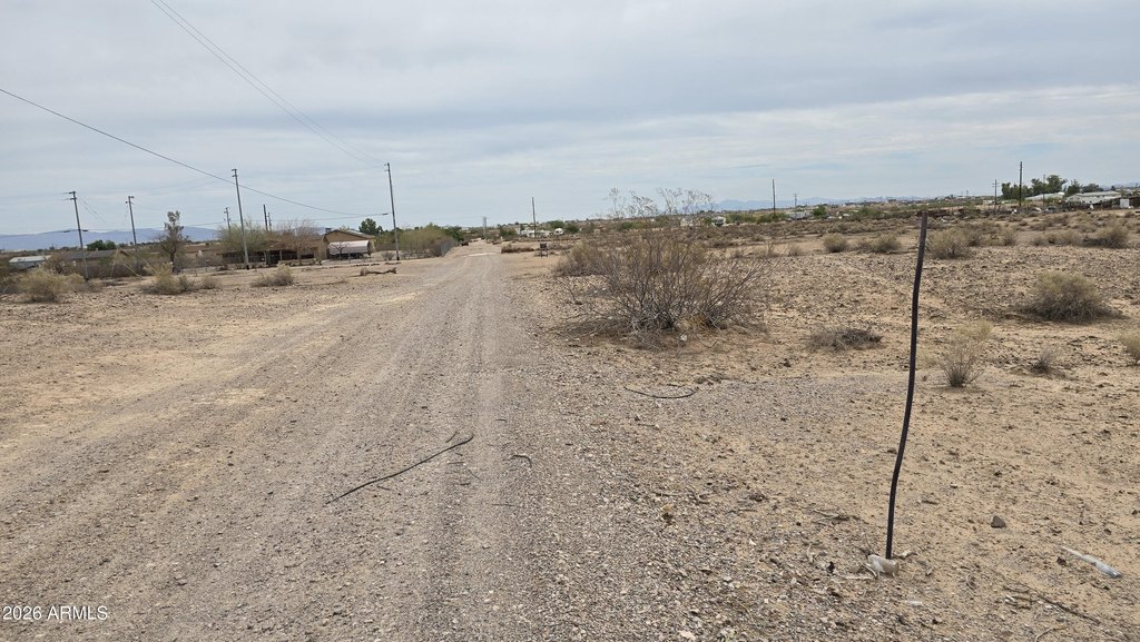 Picture 5