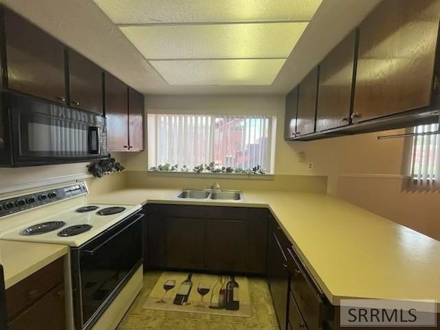 Picture 25