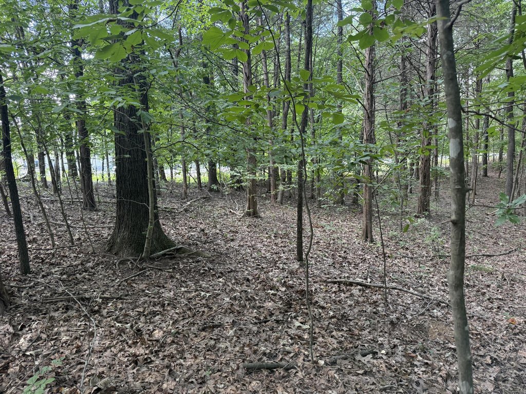 Picture 21